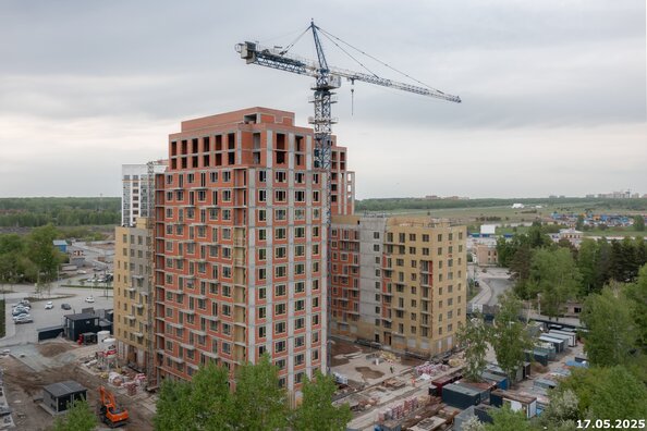 27 мая 2025