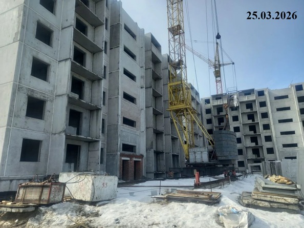 25 марта 2026