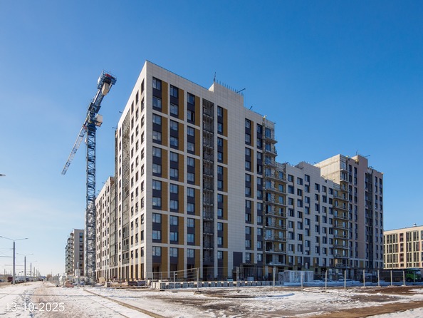 24 октября 2025