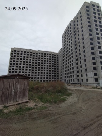 24 сентября 2025