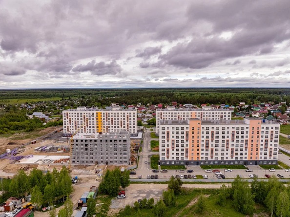 28 мая 2025