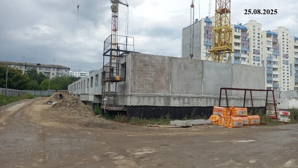 25 августа 2025