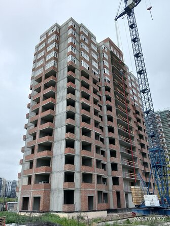 9 июля 2025