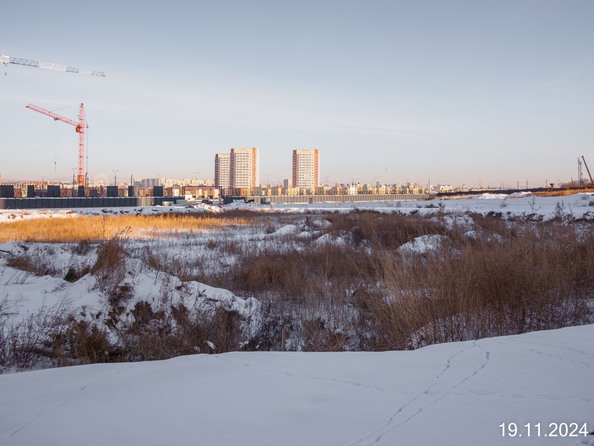 Ход строительства 19 ноября 2024