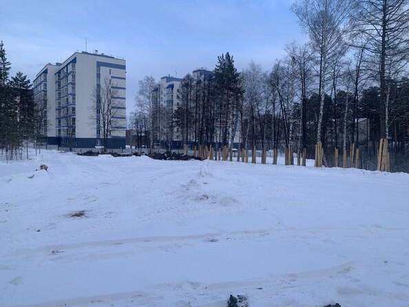 Ход строительства 5 февраля 2024