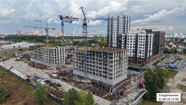 25 августа 2026