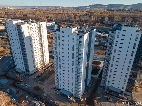 24 октября 2025