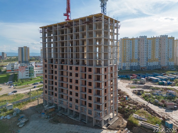 25 августа 2025