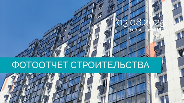 Ход строительства 4 августа 2025