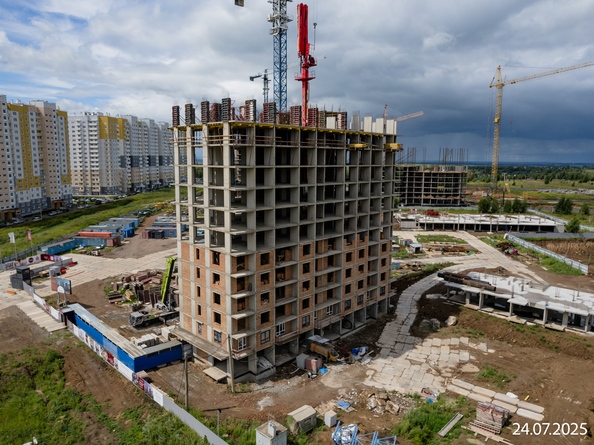 28 июля 2025