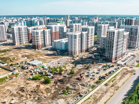 25 июня 2024