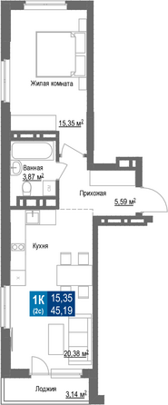 Планировка 1-комн 45,19 м²