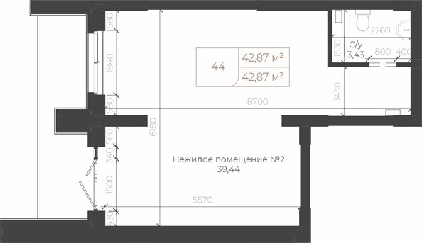 Планировка Студия 42,87 м²