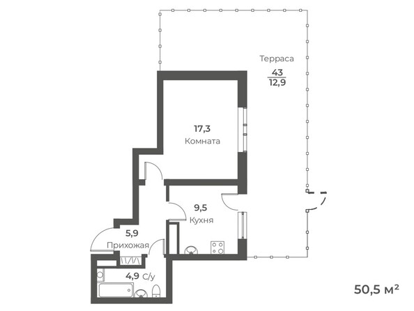 Планировка 1-комн 50,5 м²