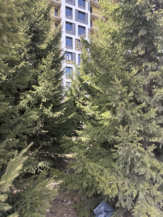
   Продам 2-комнатную, 49.9 м², Univers (Универс), 3 квартал

. Фото 11.