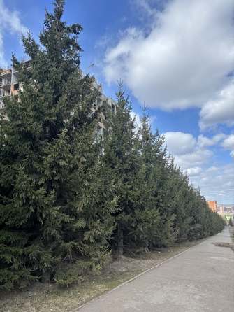 
   Продам 2-комнатную, 49.9 м², Univers (Универс), 3 квартал

. Фото 16.