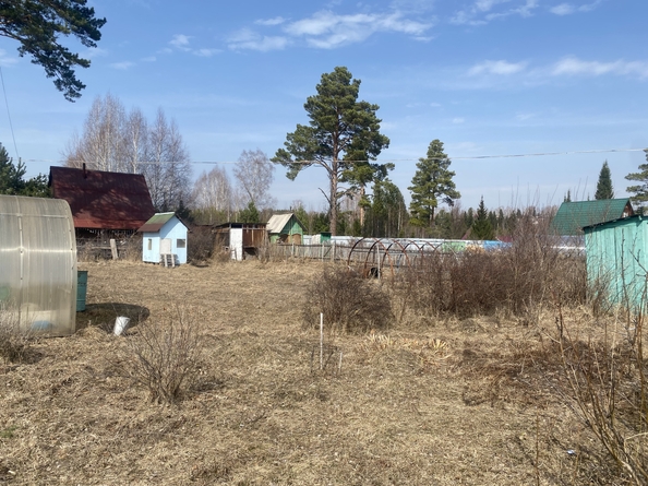
  Продам дачу, 20 соток, Рябинино станция

. Фото 5.