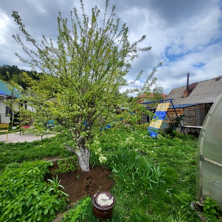
   Продам дом, 95.8 м², Красноярск

. Фото 8.