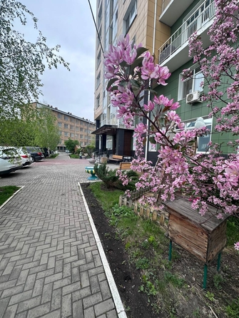 
  Продается 1-комн. квартира, 55.2 м², Партизана Железняка ул, д. 19а
. Фото 18.