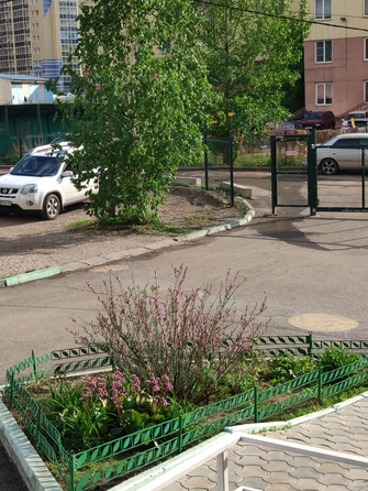 
  Сдам в аренду 1-комнатную квартиру, 54 м², Красноярск

. Фото 22.