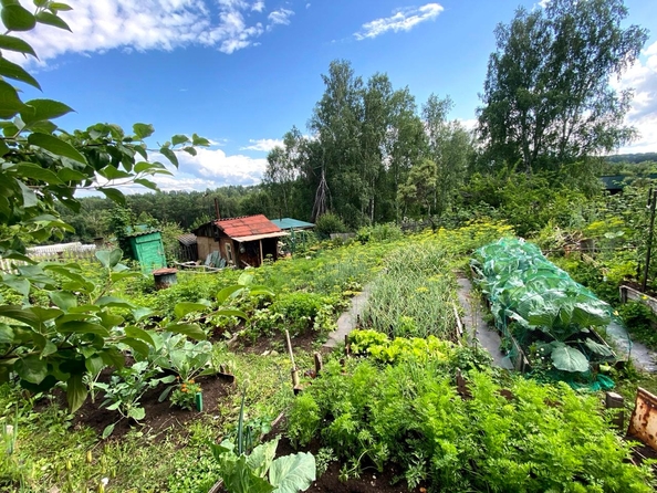 
  Продам дачу, 54 м², СНТ Солнечная поляна(Элита)
. Фото 13.
