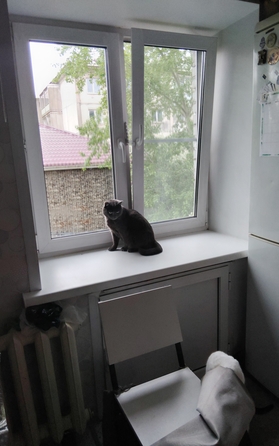 
  Продам 1-комн. квартиру, 32 м², Кутузова ул, д. 109
. Фото 1.