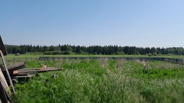
  Продам дом, 39.9 м², село Талое
. Фото 8.