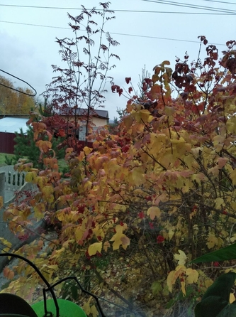 
  Продам дом, 92.9 м², деревня Киндяково
. Фото 18.