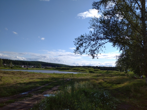 
  Продам дом, 55 м², село Еловое
. Фото 5.
