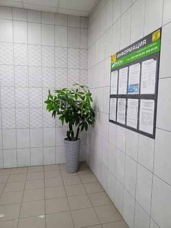 
  Продам 1-комн. квартиру, 42.9 м², ЖК Тихие кварталы, 1 этап дом 3.1  
. Фото 7.