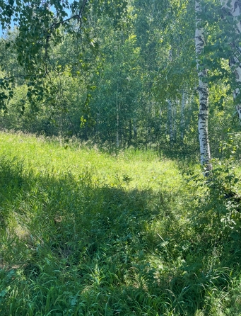 
  Продам земельный участок, 10 соток, поселок городского типа Емельяново
. Фото 5.