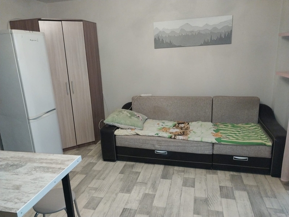 
  Сдам 1-комн. квартиру, 22 м², Калинина ул, д. 191
. Фото 5.