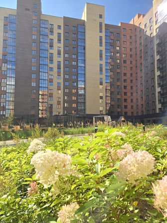 
  Продам 1-комн. квартиру, 44.5 м², ЖК Академгородок, дом 7
. Фото 1.