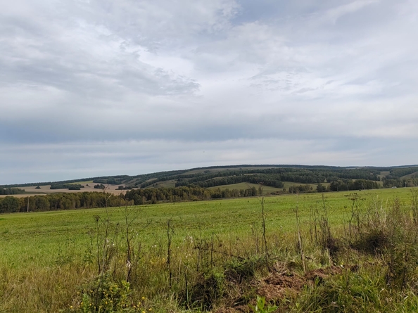 
  Продается земельный участок, 9 соток, ДНТ Заречье
. Фото 3.