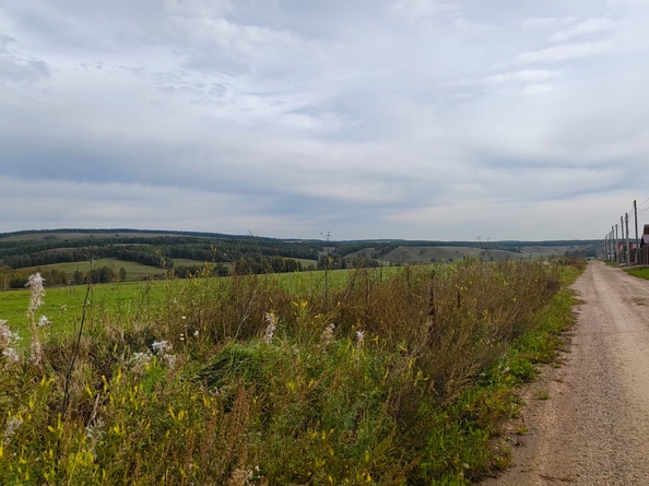 
  Продается земельный участок, 9 соток, ДНТ Заречье
. Фото 6.