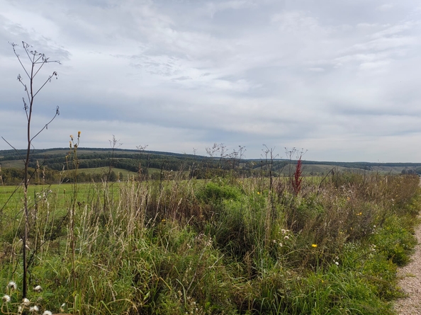 
  Продается земельный участок, 9 соток, ДНТ Заречье
. Фото 11.