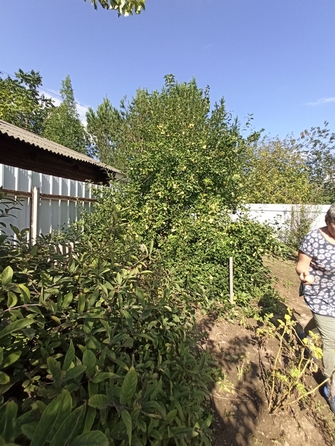
  Продам земельный участок, 15 соток, Сосновоборск
. Фото 18.