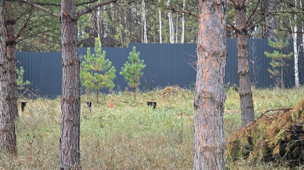 
  Продается земельный участок, 50 соток, деревня Сухая деревня
. Фото 9.