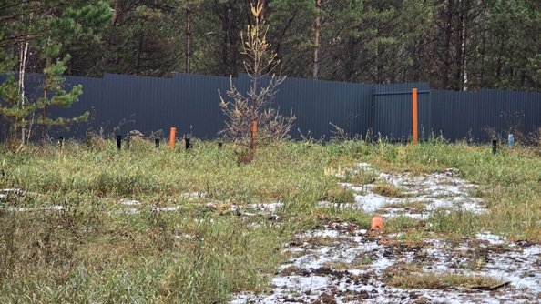 
  Продается земельный участок, 50 соток, деревня Сухая деревня
. Фото 11.