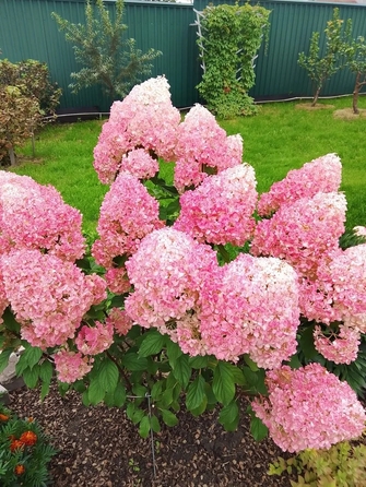 
  Продам коттедж 304 м². Фото 17.