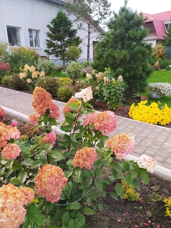 
  Продам коттедж 304 м². Фото 24.