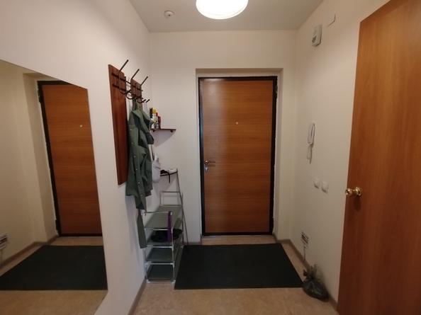 
  Сдам 1-комн. квартиру 24 м². Фото 8.