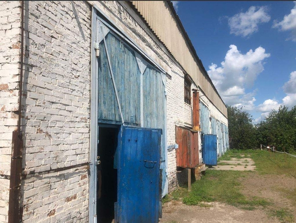 
  Продается универсальное помещение 490.5 м². Фото 3.