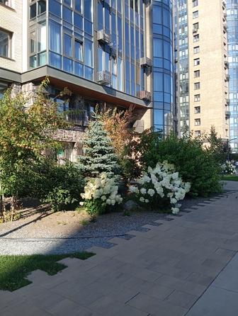
  Сдается 2-комн. квартира 61.4 м². Фото 26.