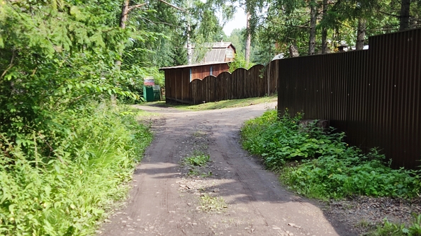 
  Продам дачу 42 м². Фото 19.