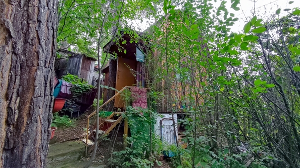 
  Продам дачу 42 м². Фото 37.