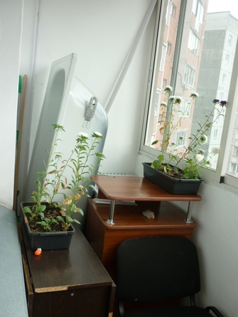 
  Продам 1-комн. квартира 43 м². Фото 9.