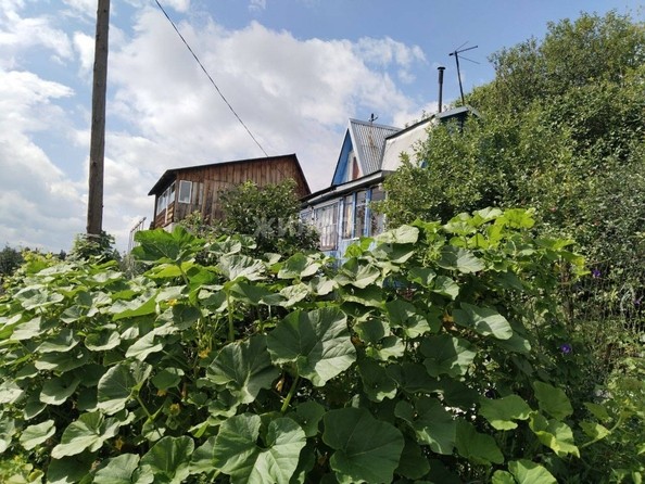
   Продам дом, 53 м², Барнаул

. Фото 5.