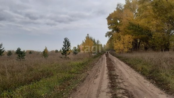 
  Продам  участок ИЖС, 12 соток, Барнаул

. Фото 4.