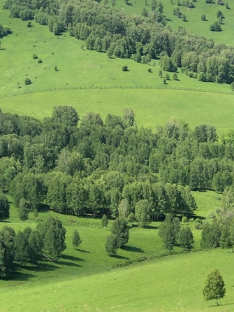 
  Продам  коммерческую землю, 150000 соток, Солонешное

. Фото 9.